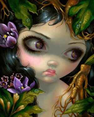 Poisonous Beauties XIV: Mandrake Root